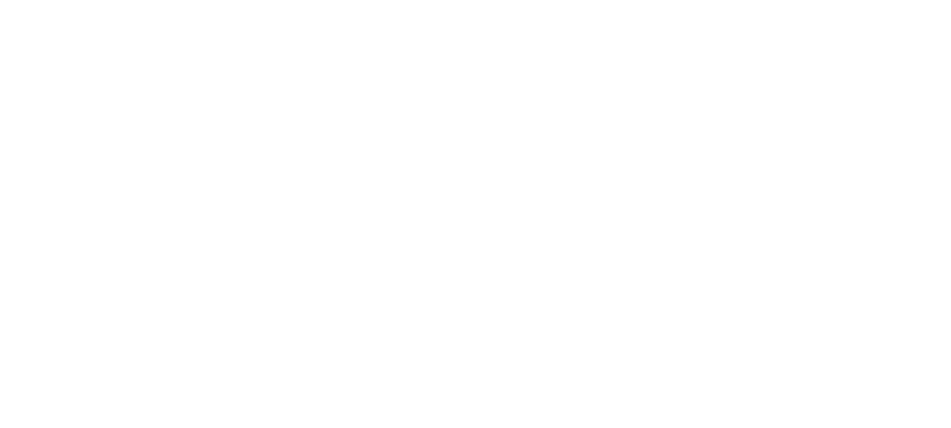Unbridled Developments
